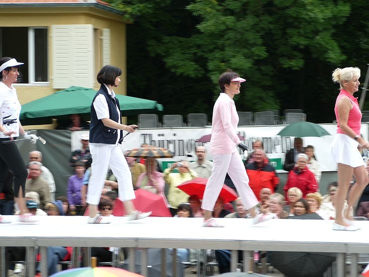 Vom Rathaus ins Gehege