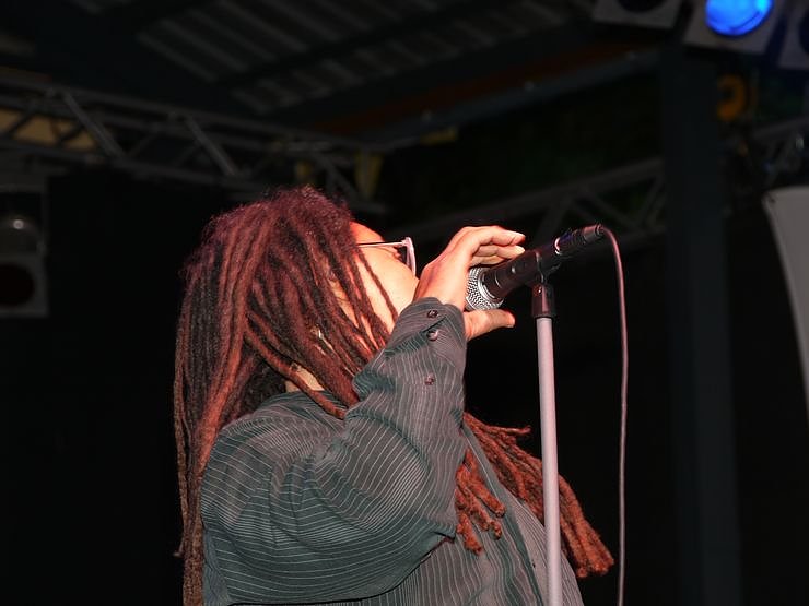 Manfred Mann's Earth Band im Gehege