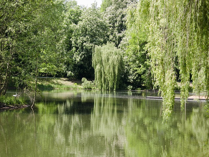 Morgen wird er&ouml;ffnet