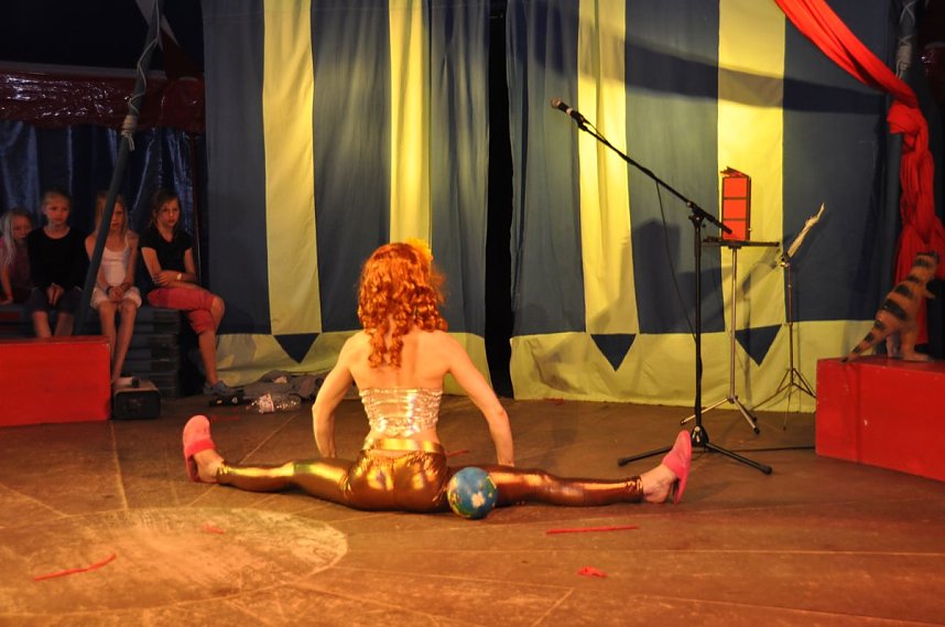 Gregor Wollnys wilder Wohnzimmerzirkus