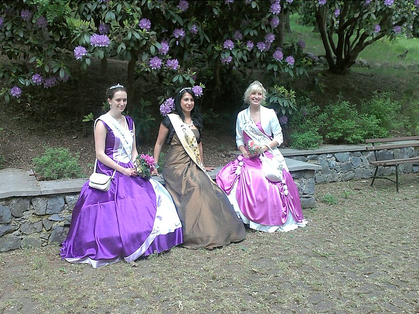 Rhododendronfest in S&uuml;lzhayn