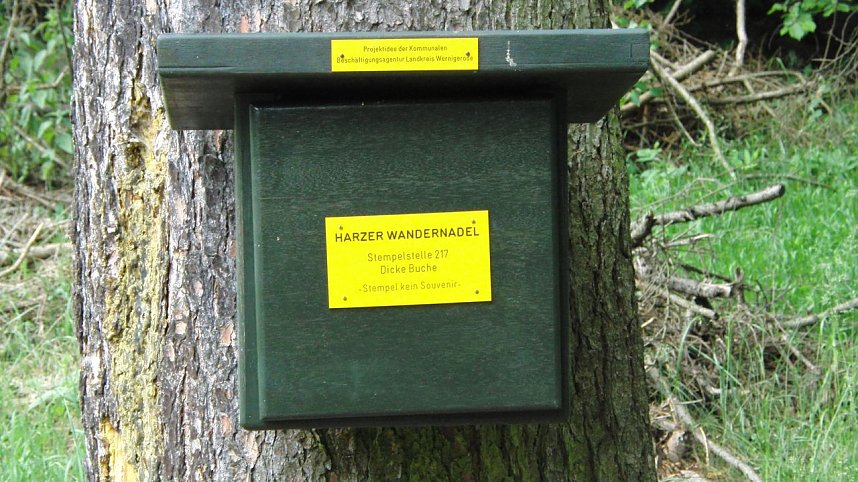 Vorbereitungen zur 8. Auflage sind abgeschlossen