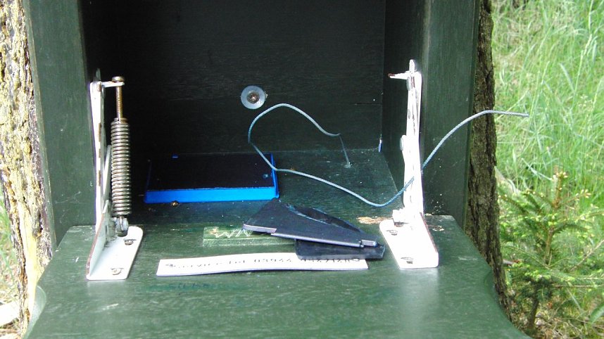 Vorbereitungen zur 8. Auflage sind abgeschlossen