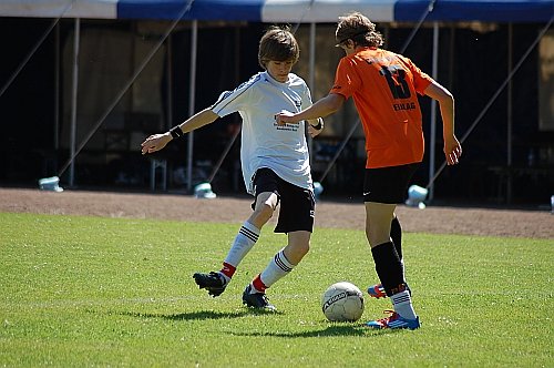 In Walkenried gut geschlagen