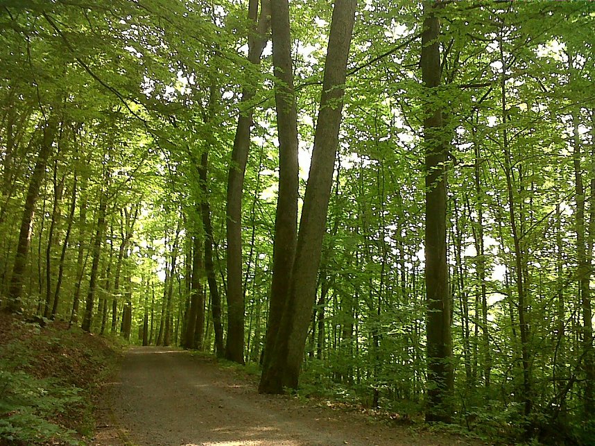 Unterwegs in Bad Kissingen