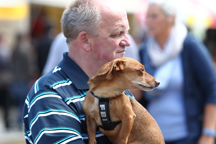 Leere B&uuml;hnen, vollen St&auml;nde