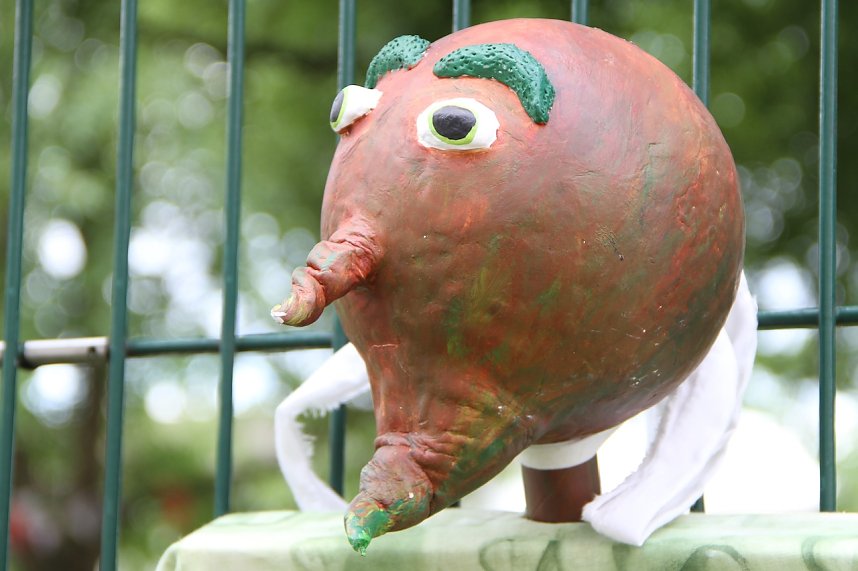 Rolandsfest 2012: Kinderfest auf dem Petersberg