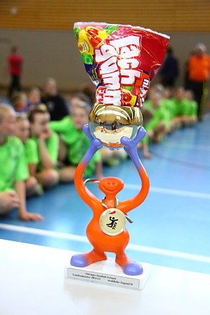 Der Landesmeistertitel f&uuml;r die NSV-M&auml;dels