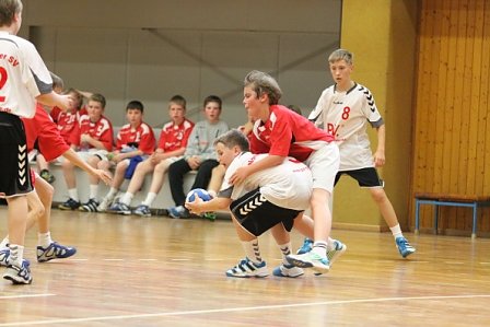 NSV Handballer sind Landesmeister