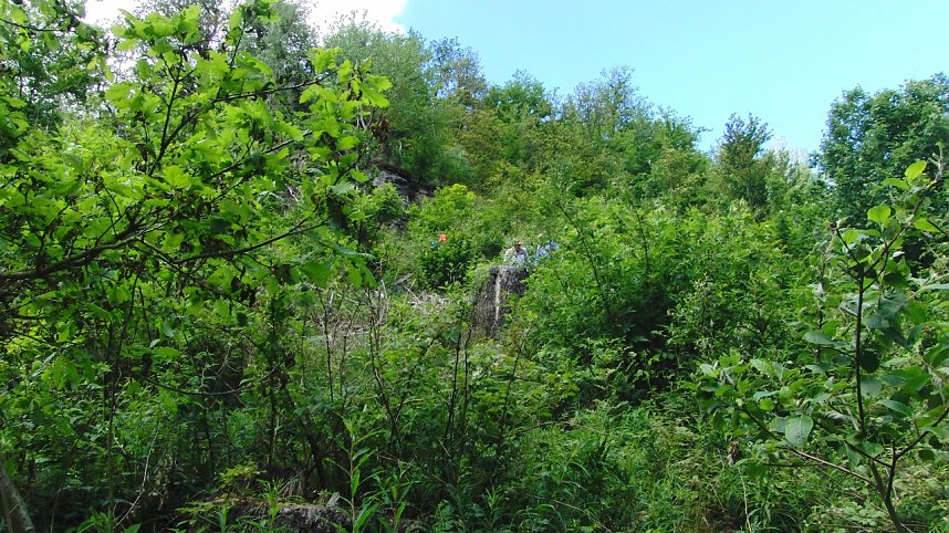 100 Kilometer gewandert