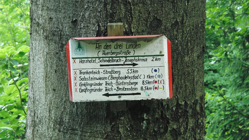 100 Kilometer gewandert