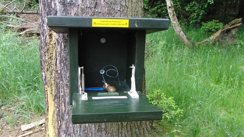 100 Kilometer gewandert