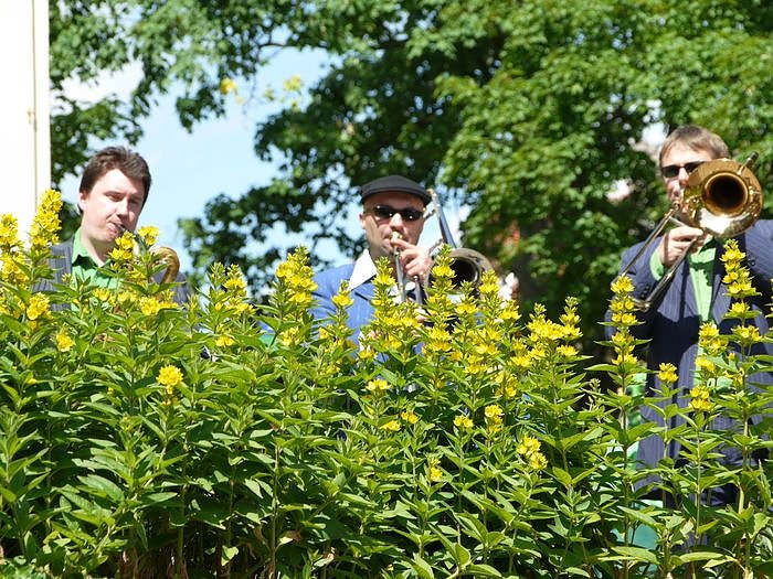 Zaubersch&ouml;nes im Park