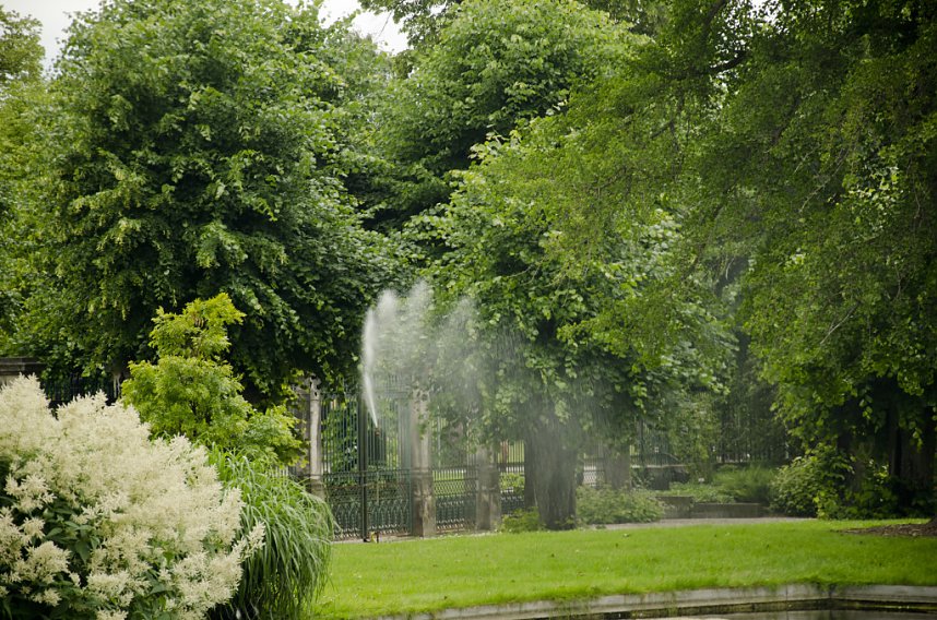 Sea Live in Hannover