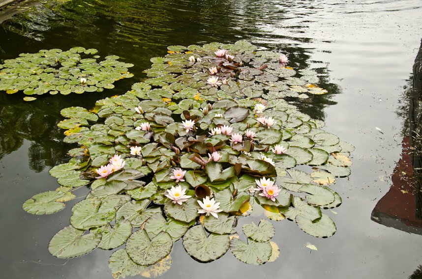 Sea Live in Hannover