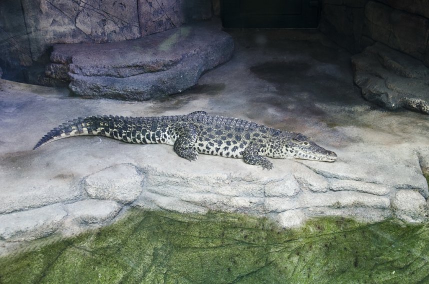 Sea Live in Hannover