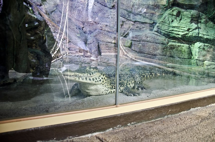 Sea Live in Hannover