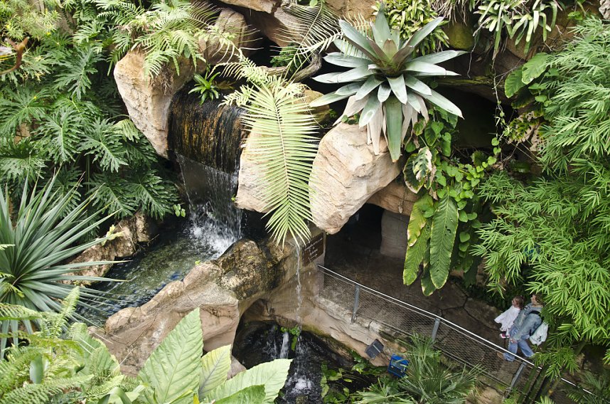 Sea Live in Hannover