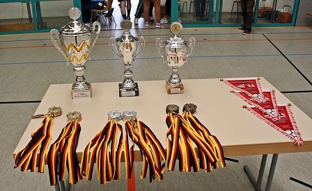 Gek&auml;mpft und bew&auml;hrt