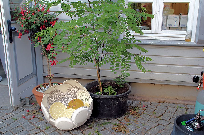 11. Kunstfest in Nordhausen