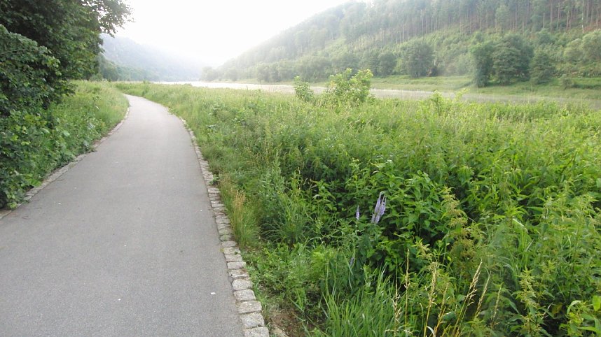 100 Kilometer S&auml;chsische Schweiz