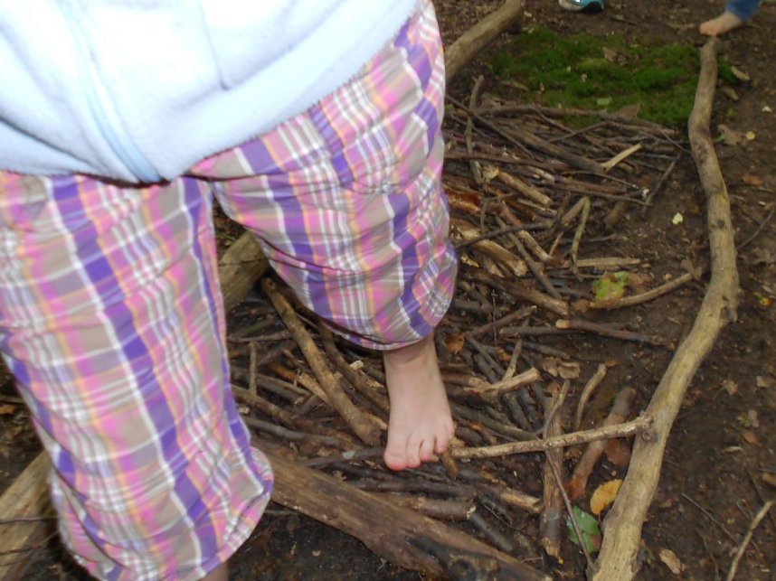 Klasse Wald - erfolgreiches Projekt