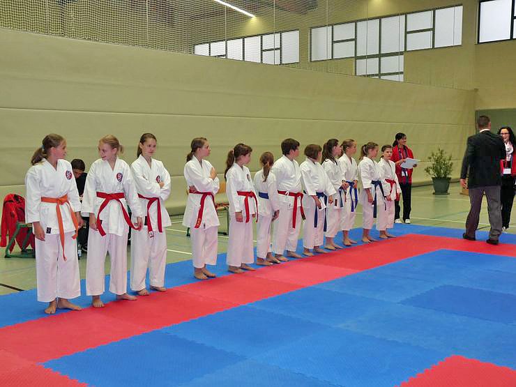 Meisterschaften im Karate