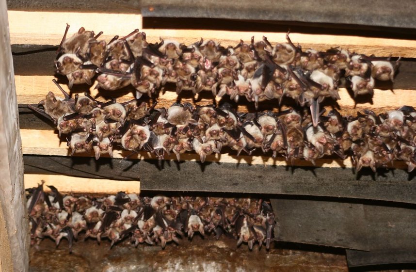 Kinderstube in der Kirche