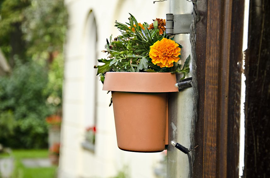 Nacht der Schl&ouml;sser