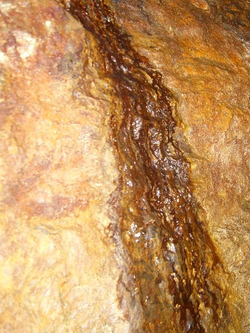 Immer an der Selke entlang