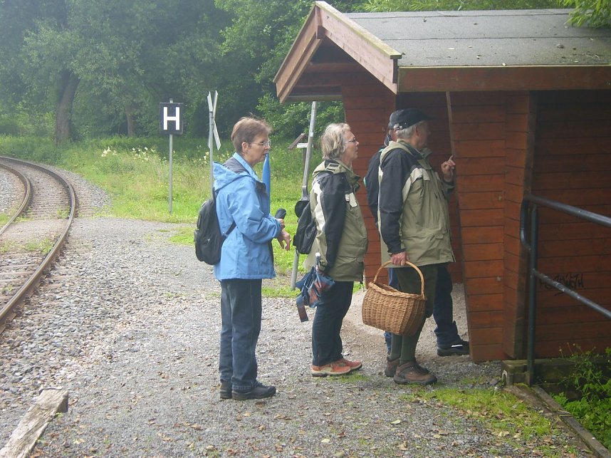 Immer an der Selke entlang