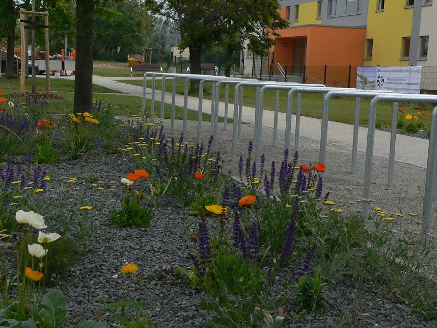 Kinderhaus Nordhausen-Ost