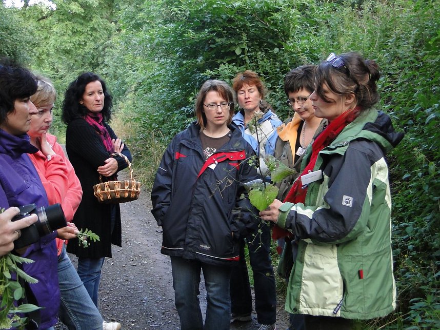 Kr&auml;uterwanderung