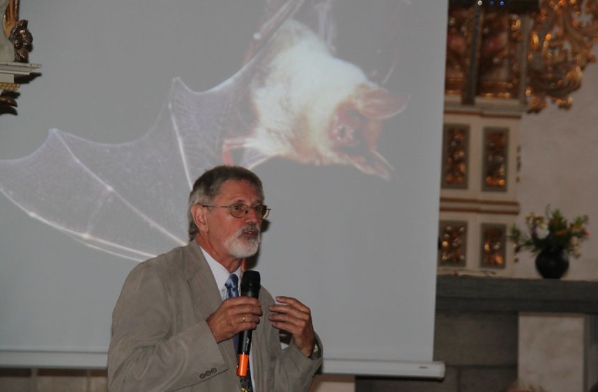 Fledermausnacht in Bleicherode