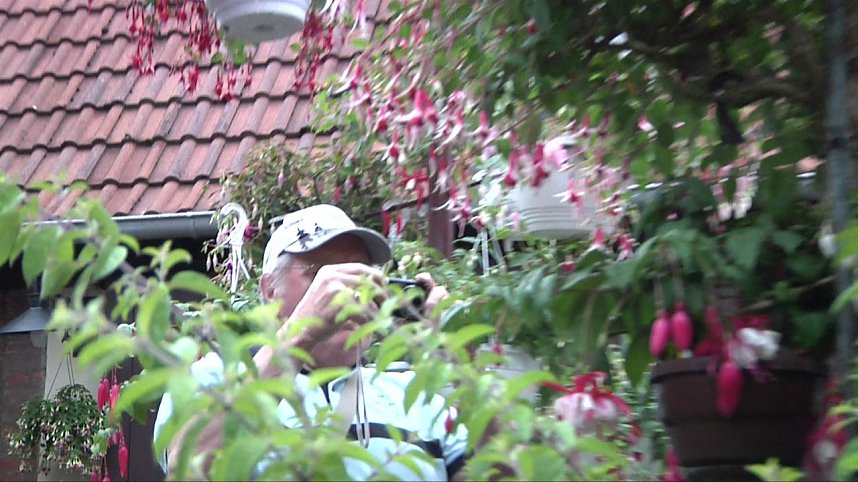 Fuchsien in der Traditionsbrennerei