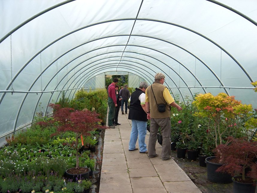 Rosenschau in Ellrich