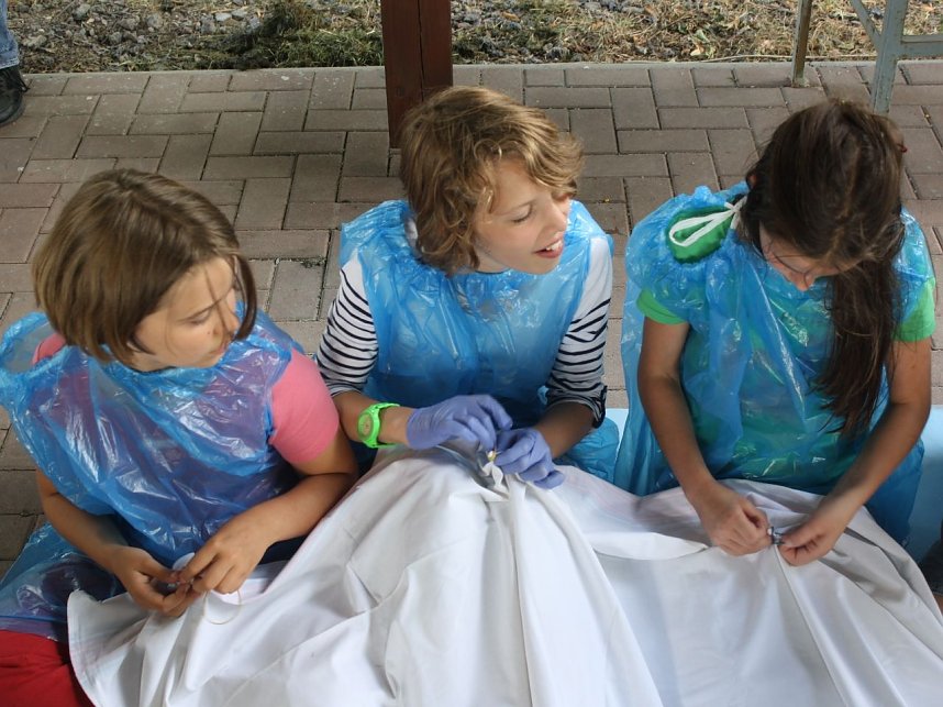 Camp-Tagebuch - Tag 2 (5. August)