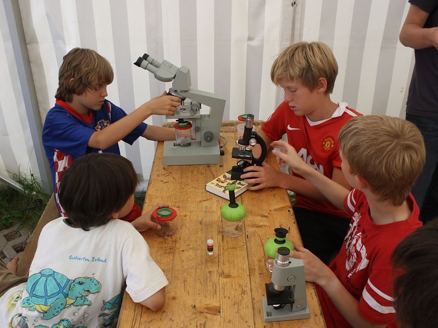 Camp-Tagebuch - Tag 2 (5. August)