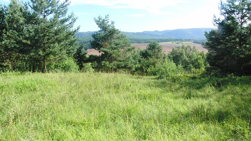 Halbtrockenrasen gem&auml;ht