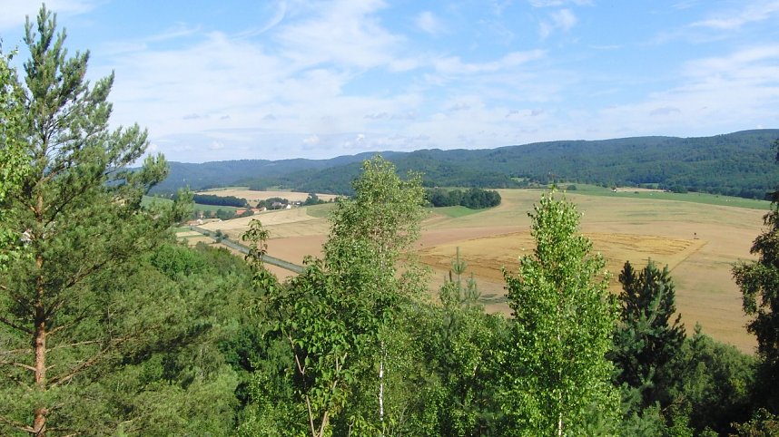 Halbtrockenrasen gem&auml;ht
