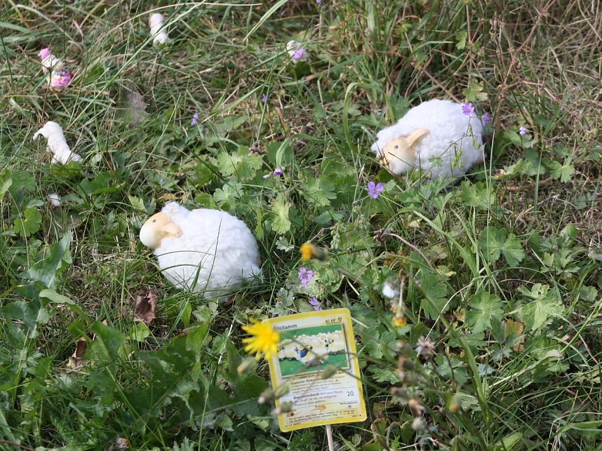 Handwerker-Camp Hoheneiche Tag 5