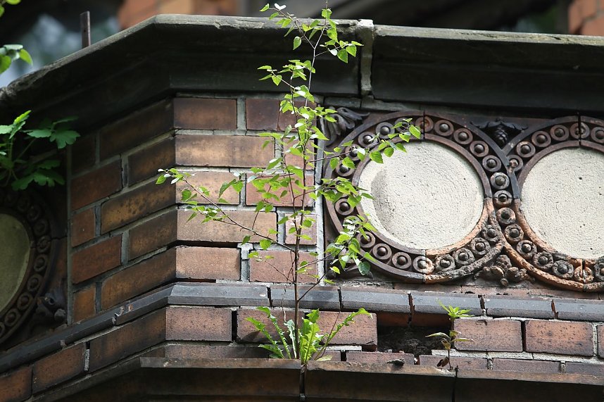 Unterwegs: Flora am Bau