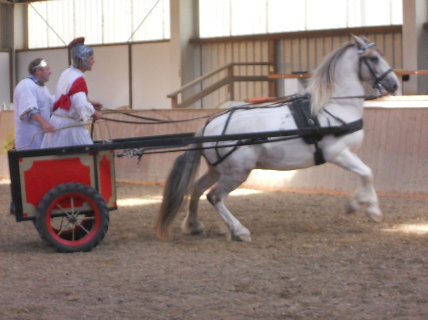 Landeszuchtschau in Wollersleben