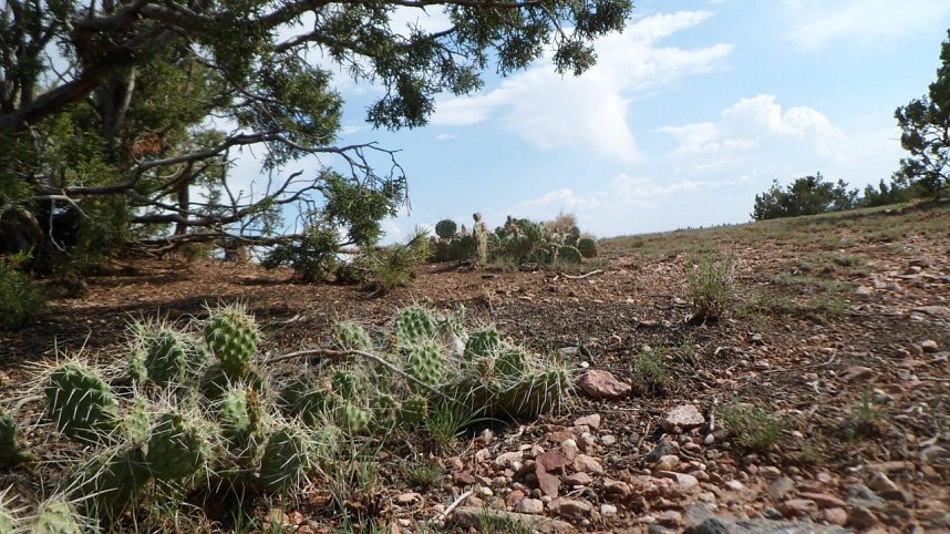 Tobis Tagebuch: Philadelphia