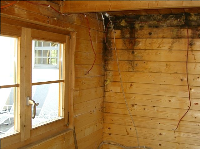 Phase zwei hat begonnen