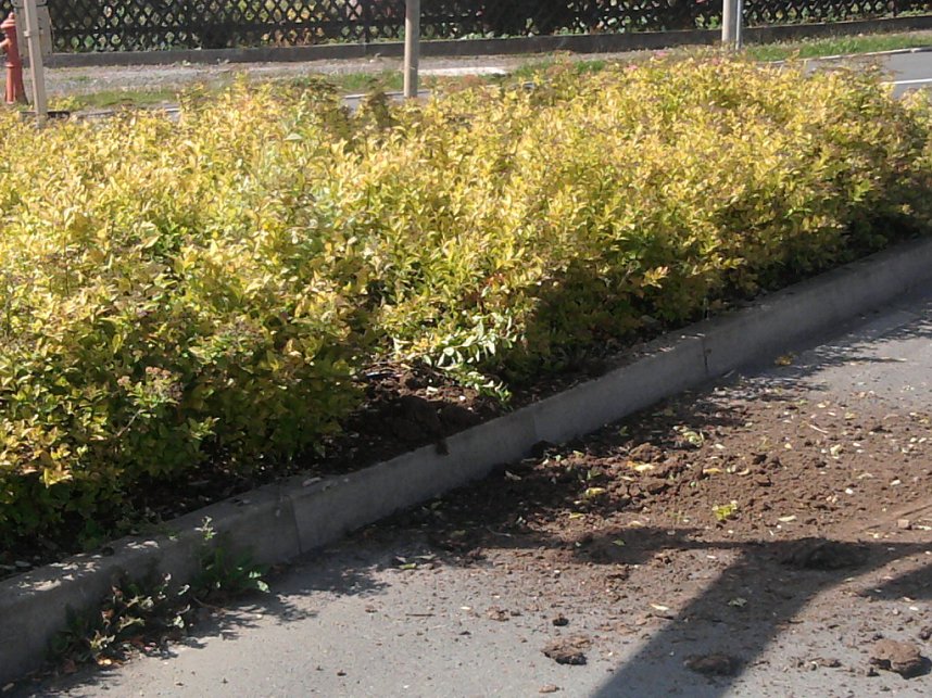 Voll auf die Terasse