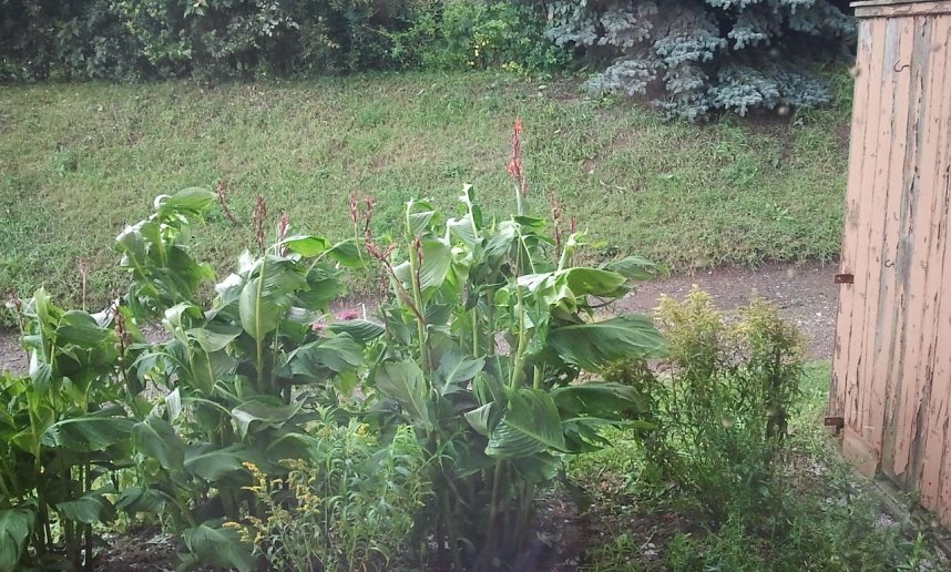 Unwettter in Wollersleben