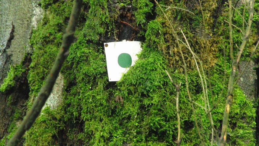 Von Dresden zum Fichtelberg