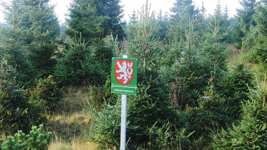 Von Dresden zum Fichtelberg