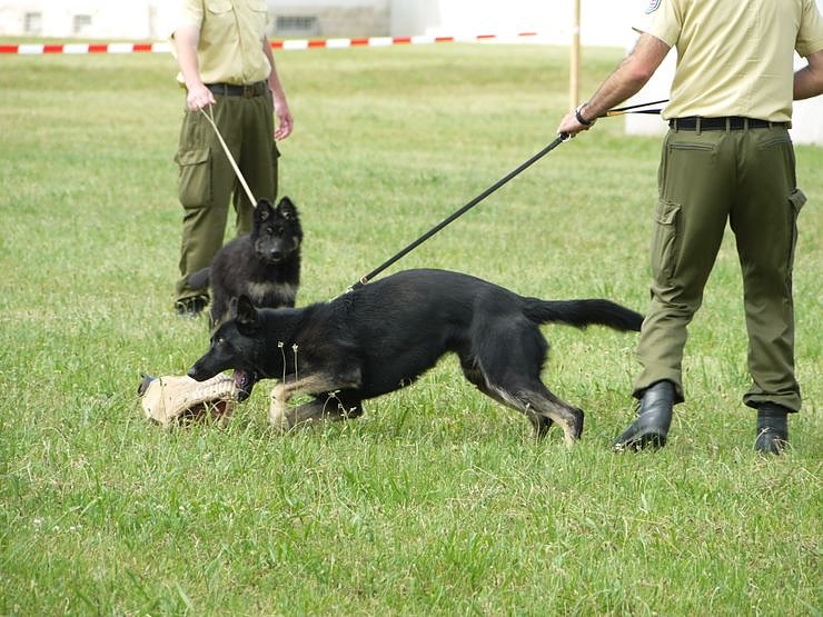 Tag der offenen T&uuml;r bei der Polizeidirektion Nordhausen